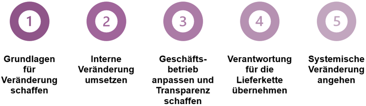 Phasen Nachhaltigkeitsaufbau